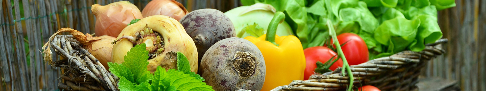 Korb mit verschiedenen Gemüsesorten ©pixabay